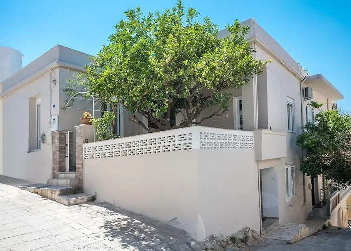Sofias Lemontree Family House